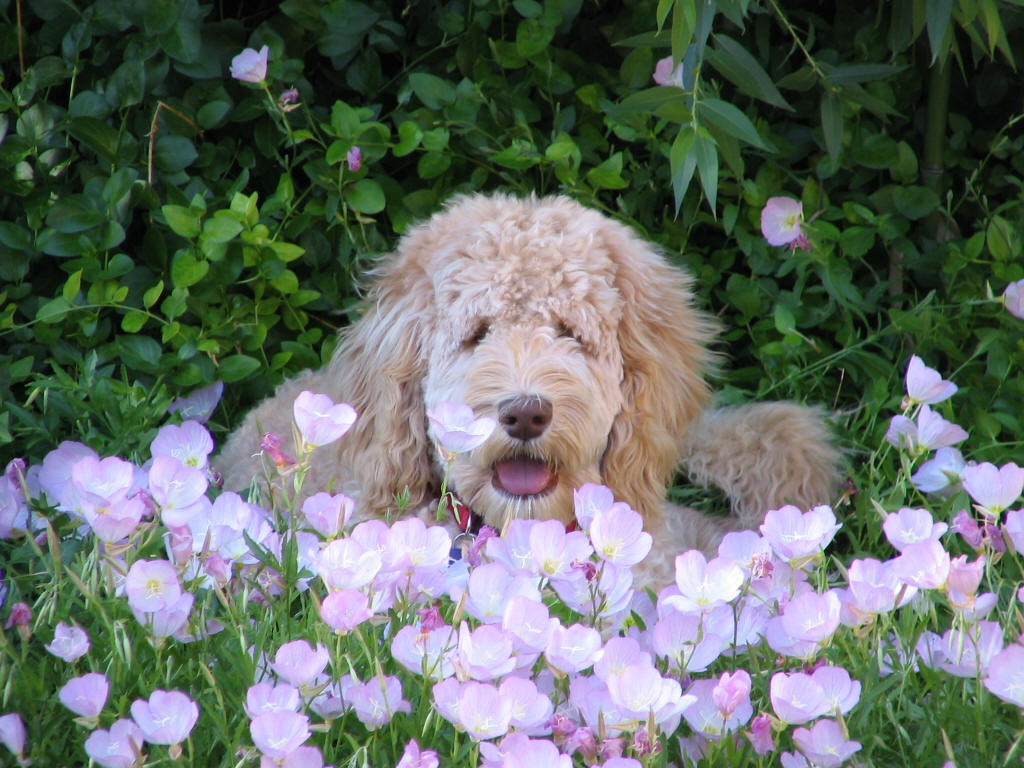 Just smelling the roses